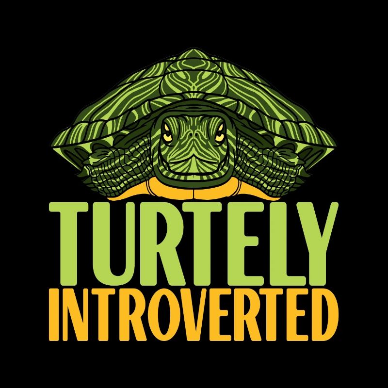 Turtle Turtle Aquatic turtle