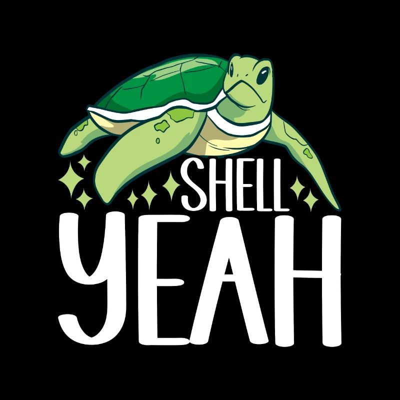 Turtle Turtle Aquatic turtle