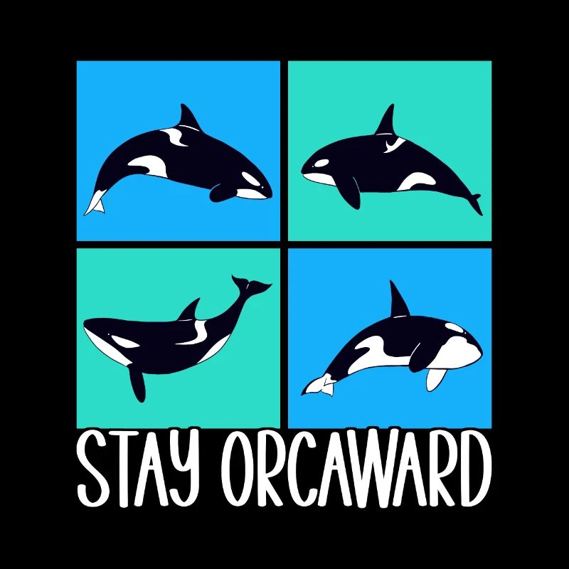 Whale Whale Watching Orca