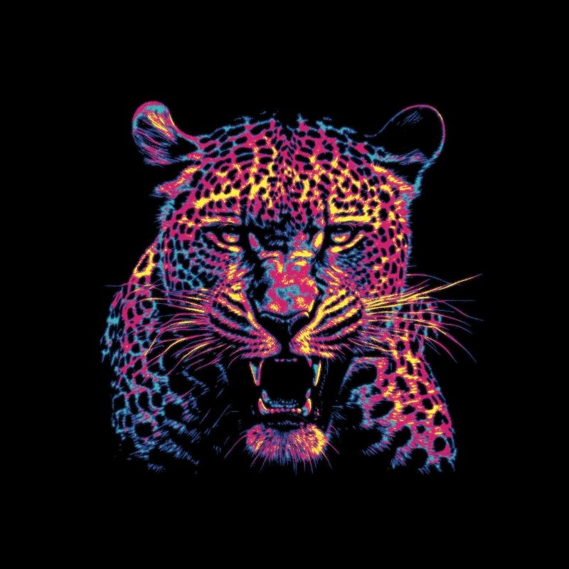 Tête de léopard colorée