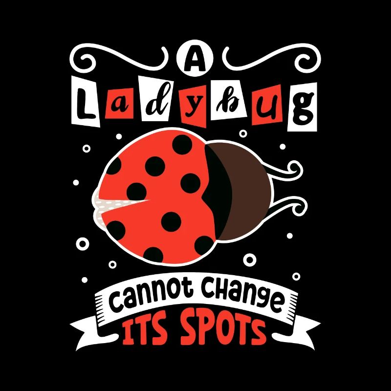 Ladybug Ladybug Entomology Insects