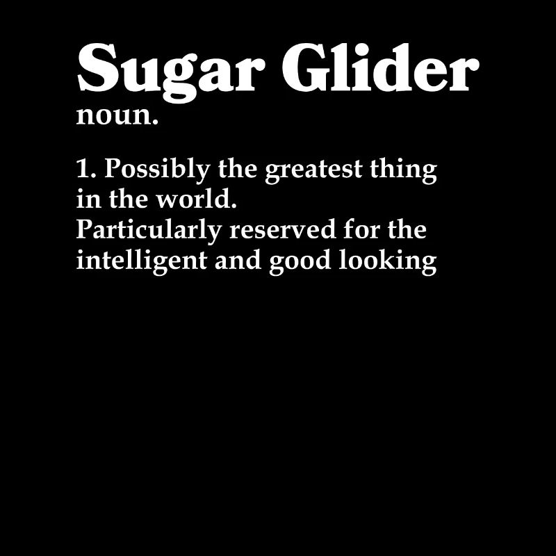 Sugar Glider Flughörnchen