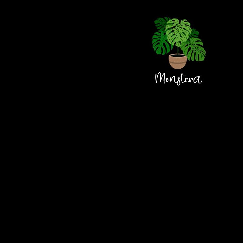Monstera Flora jardinier de plantes d’intérieur