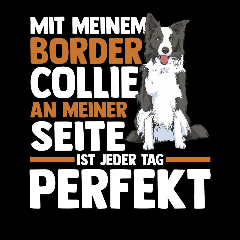 Hund Border Collie