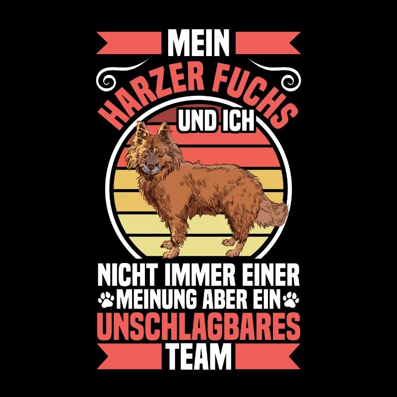 Harzer Fuchs is unbeatable herding dog herding fox