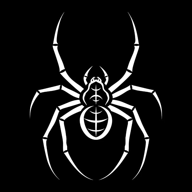 Spinne