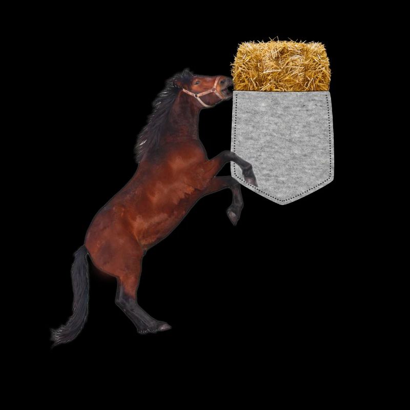 Pferd, das Nach Heu In Ihrer Falschen Tasche Greift Lustig