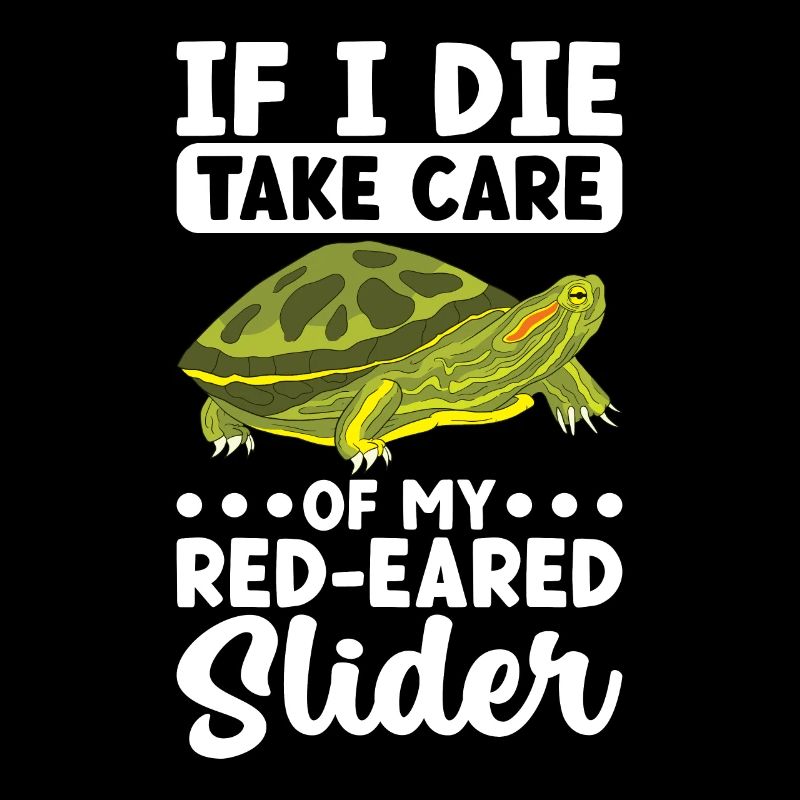 Turtle Red-eared Turtle