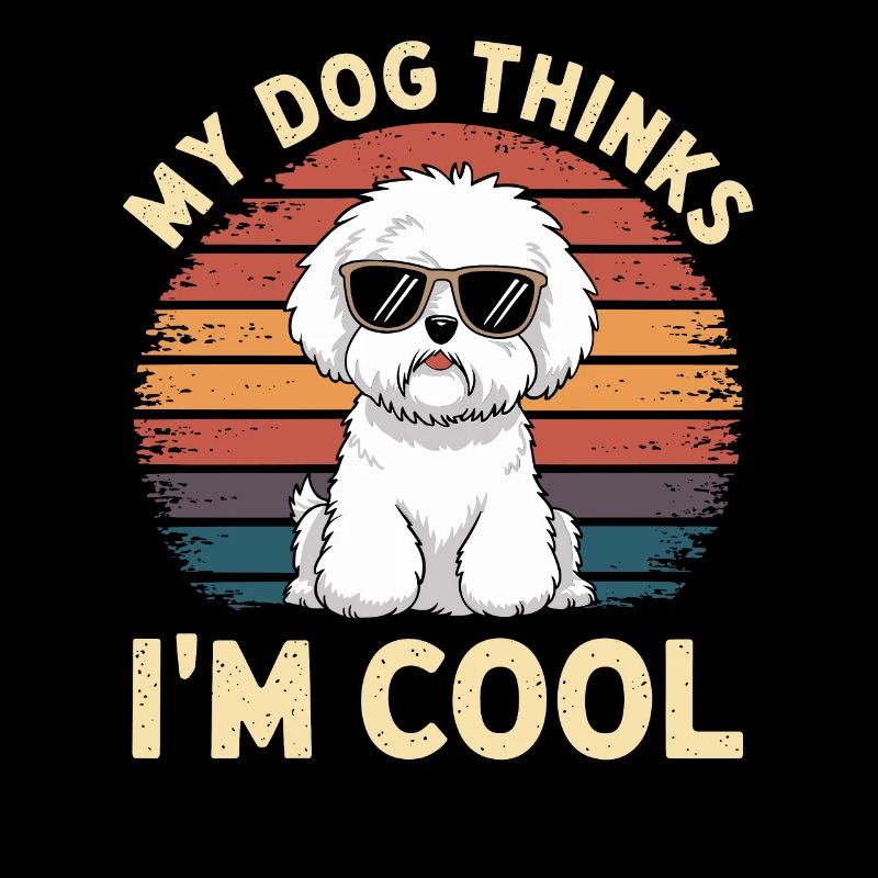 Bichon frisé Mon chien pense que je suis cool