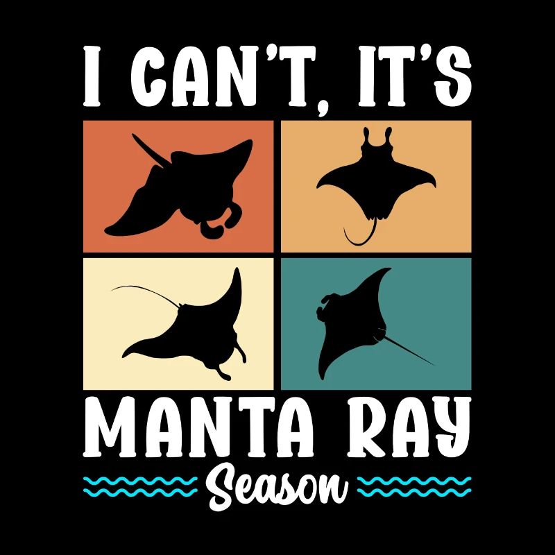 Mantarochen Großer Manta Meeresbewohner