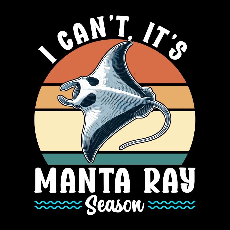Mantarochen Großer Manta Meeresbewohner