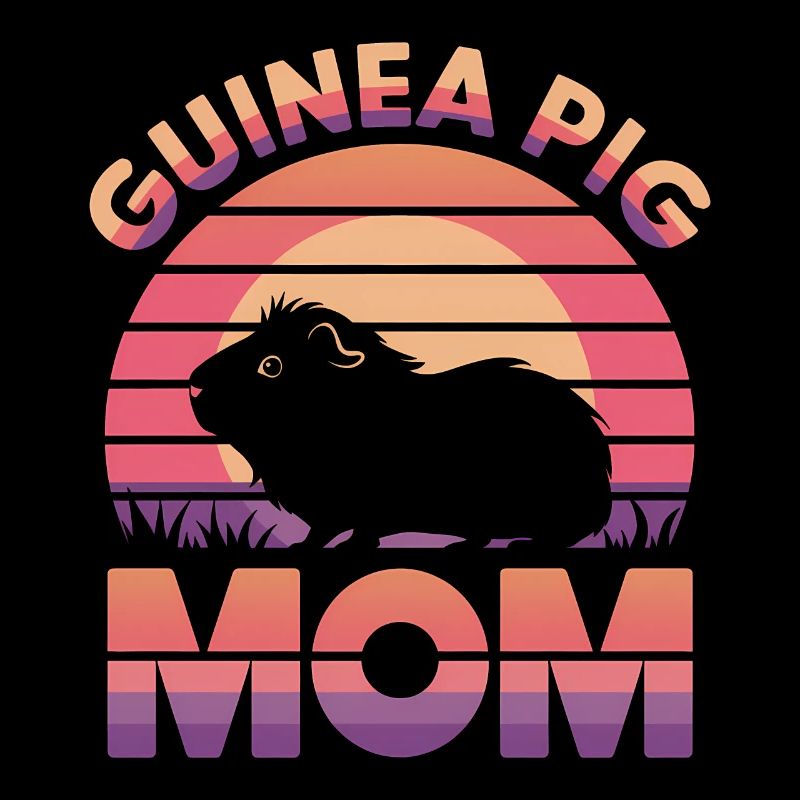 Dicton de cochon d’Inde, Cadeau de cochon d’Inde