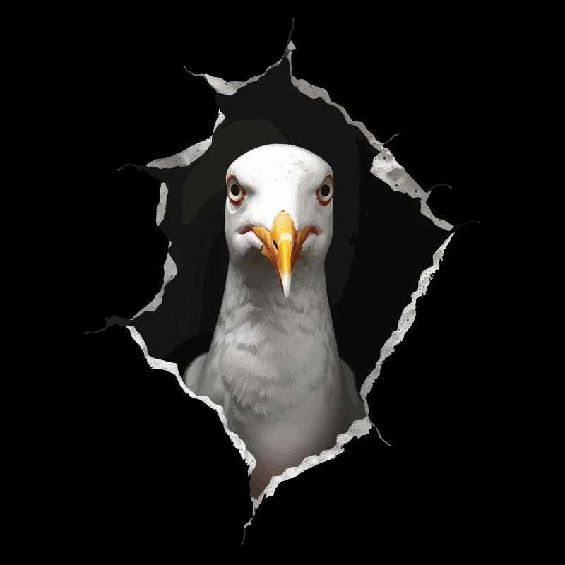 Möwe