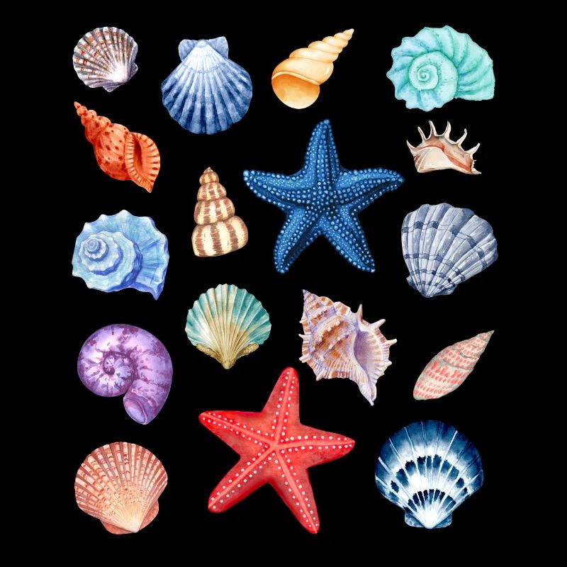 Shell Collection.Colorful Shells from Summer Holidays