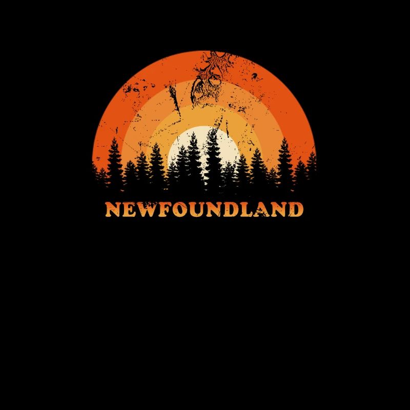 Vintage Newfoundland Canada Fan Retro Cool Sunset