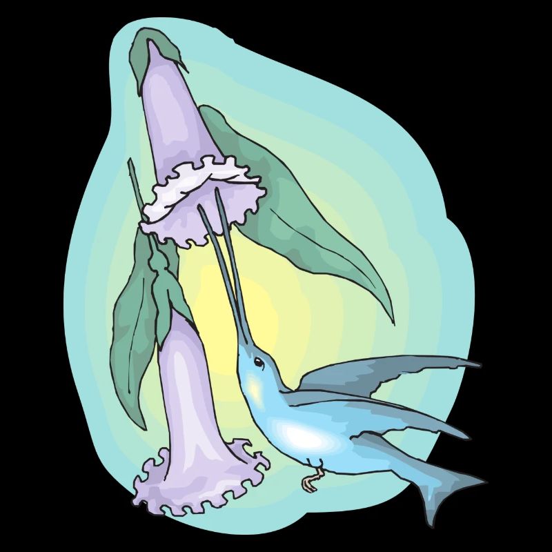 rainbow sun clouds weather rainbow sun cloud28