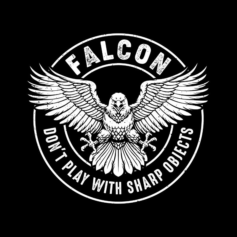 Falcon Sharp objects Falconry Ornithologist Eagle
