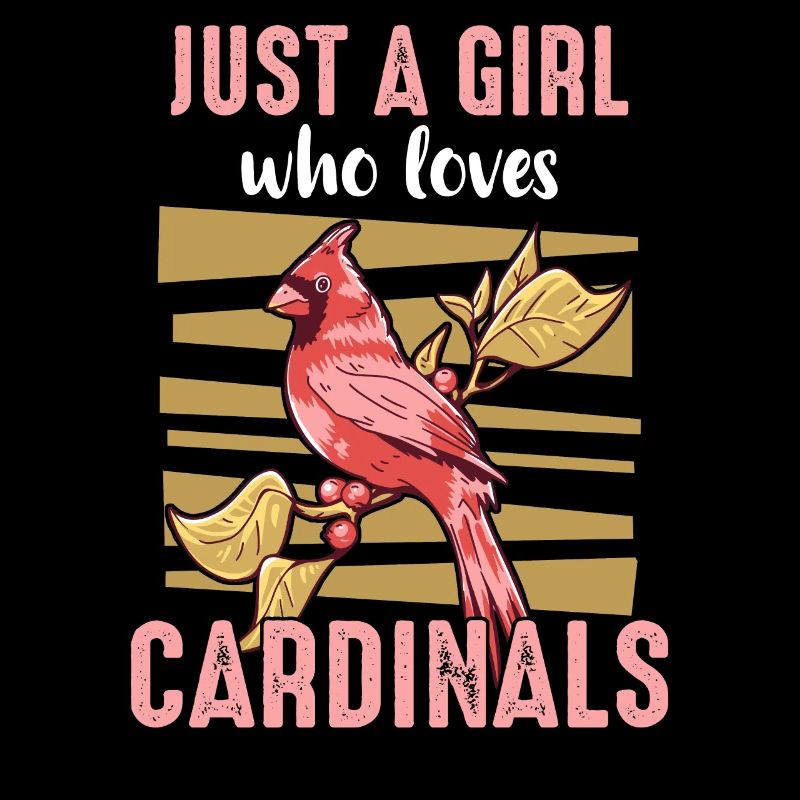 Kardinal Rotkardinal Vogel Roter Kardinal