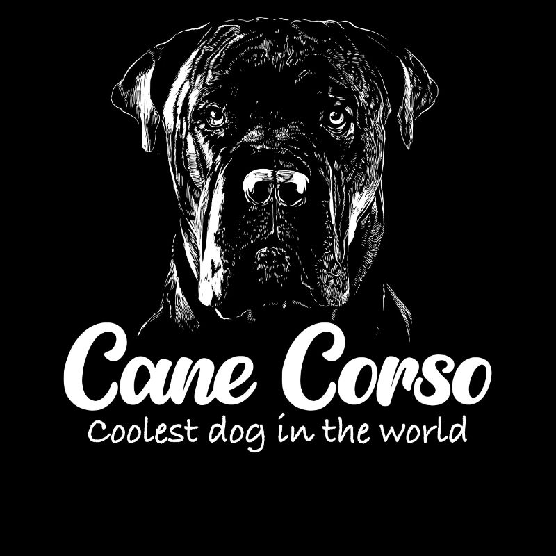 Cane Corso Hund