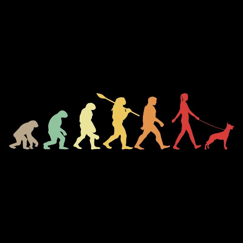 Evolution Lustiger Belgischer Schäferhund Malinois