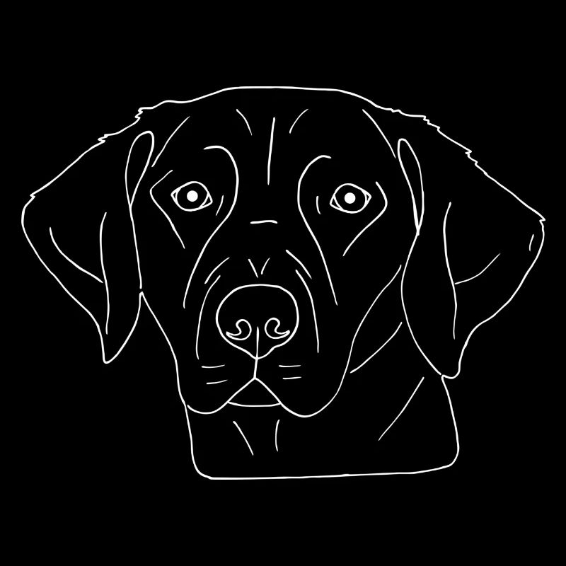 Labrador