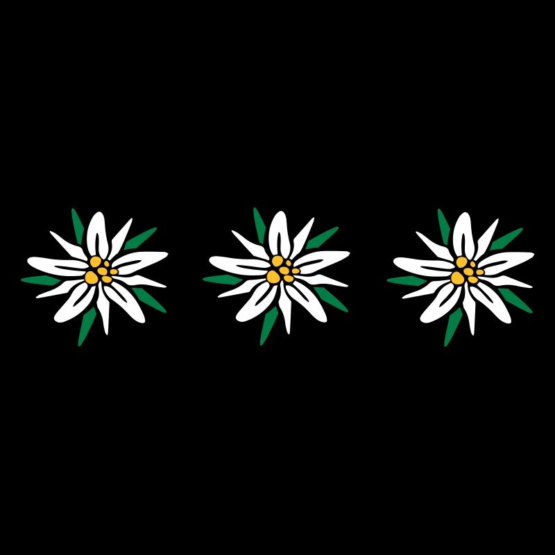 Edelweiss