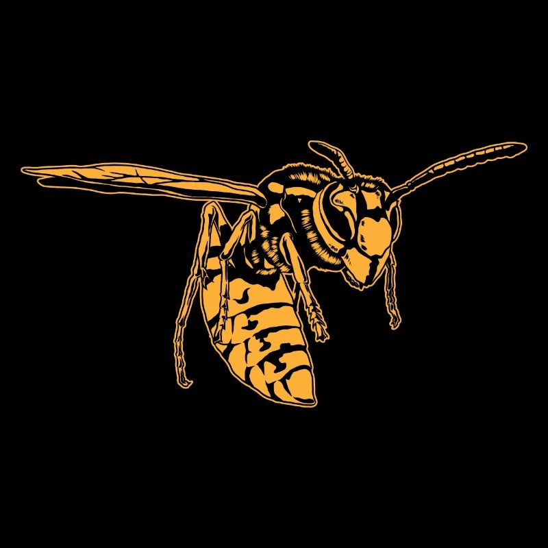 Cool Wasp Insect Sketch Graphic Wasp Animal Lover