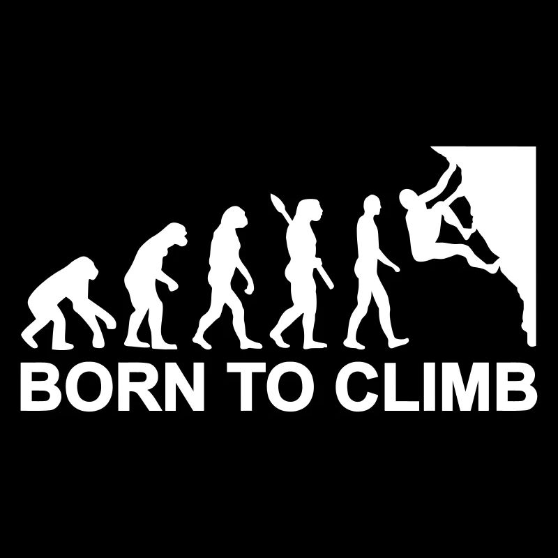 Évolution Escalade