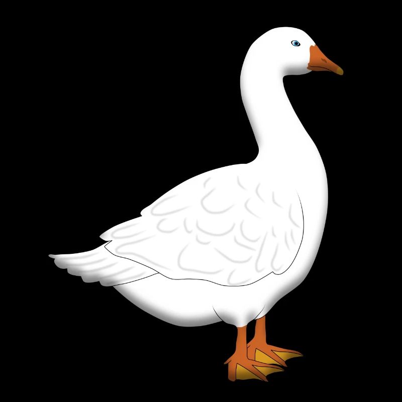 gans