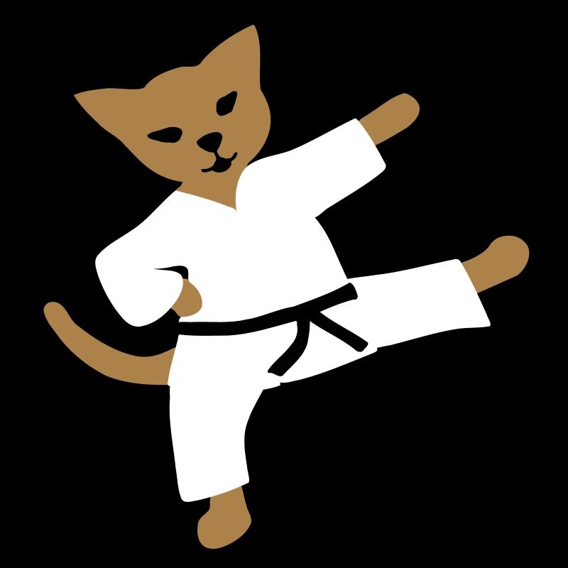 taekwondo cat