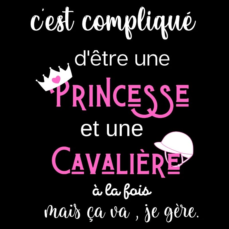 c'est compliqué princesse et cavalière humour