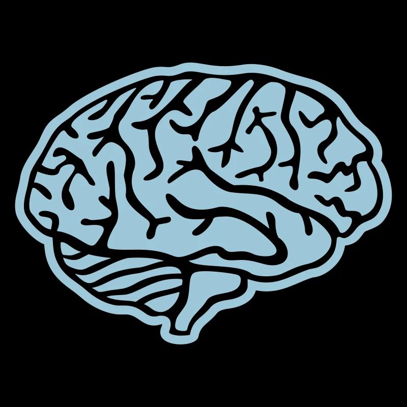 Brain