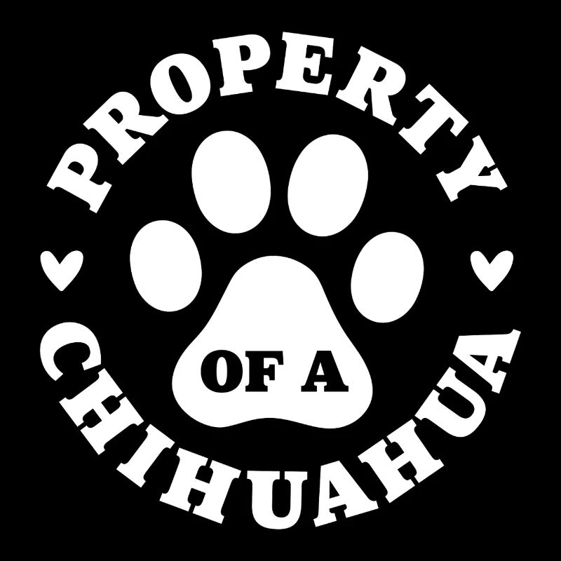 Eigentum eines Chihuahua