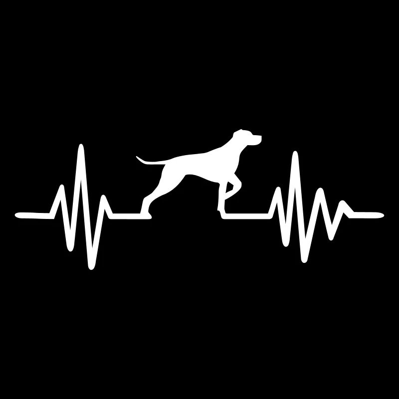 German Shorthaired Pointer