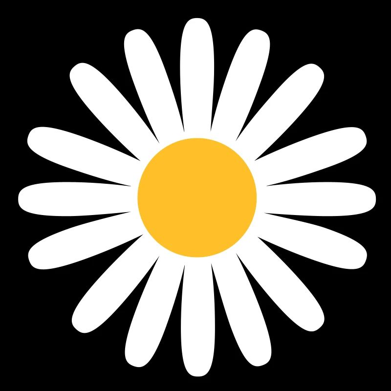 Gänseblümchen Blume