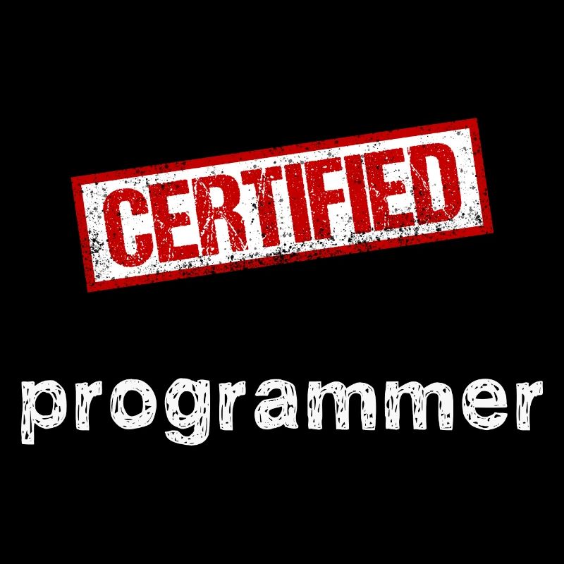Programmeur