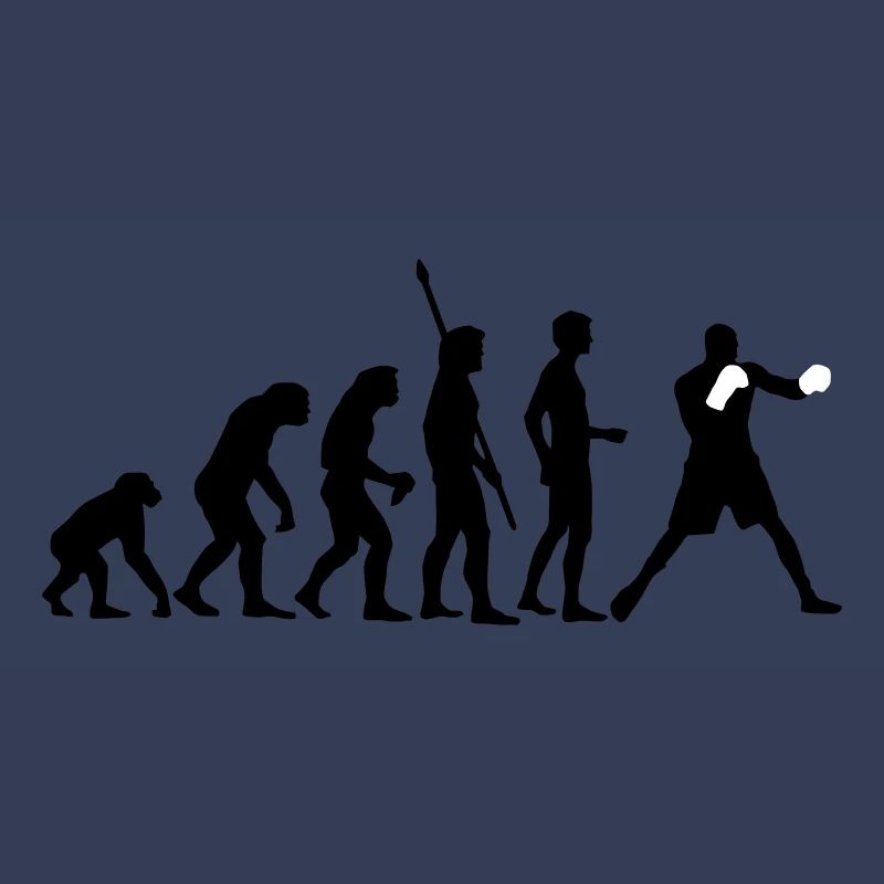 evolution_boxen_b_2c
