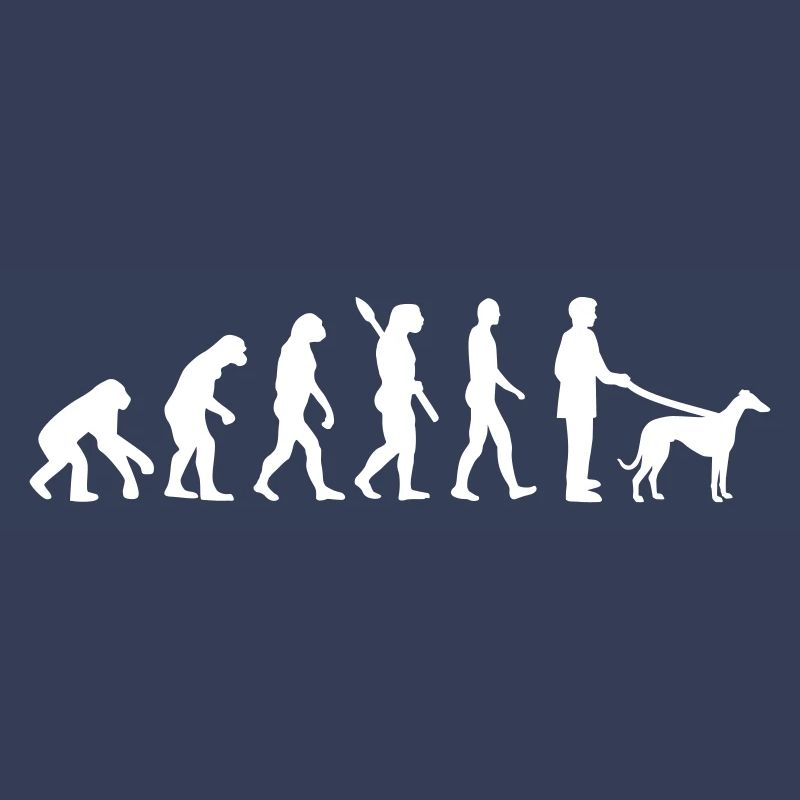 Evolution Lévrier