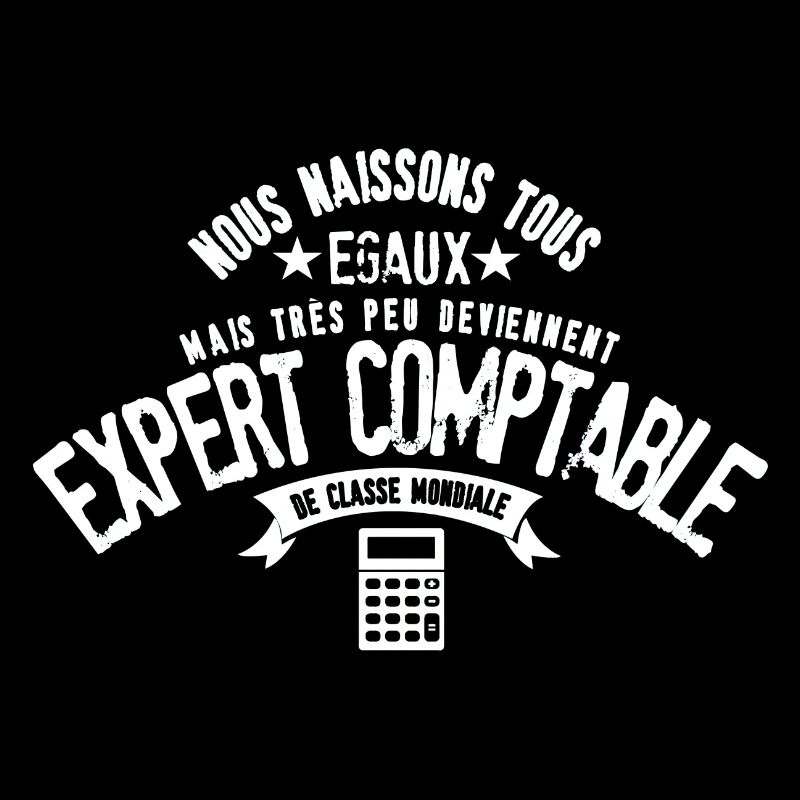 Expert Comptable