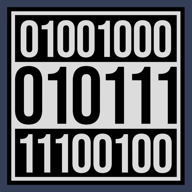 Binary Code Program Language