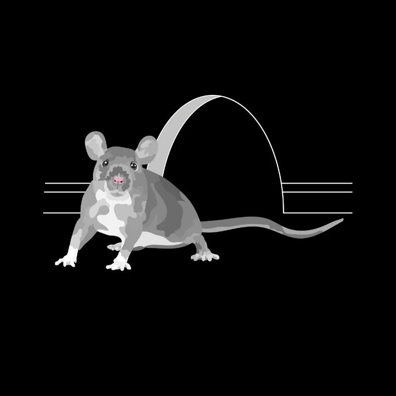 Rongeur de rat souris devant un trou dans le mur