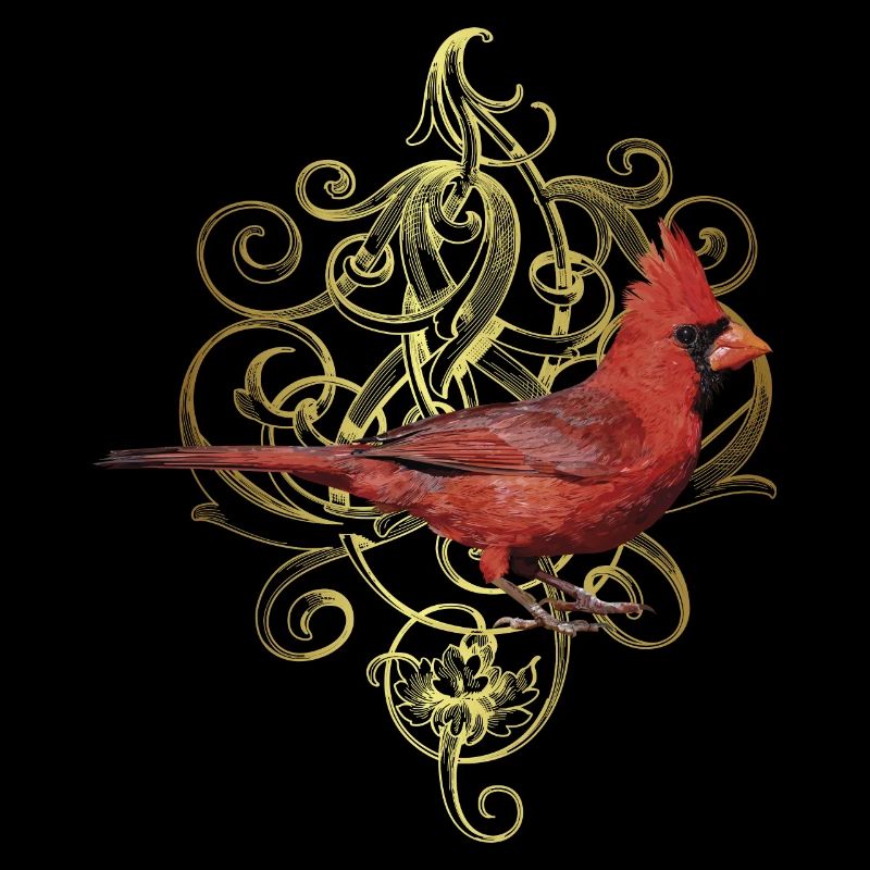 Der nördliche Kardinal