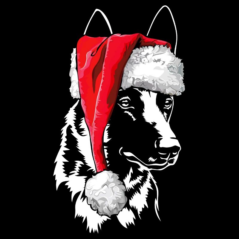 Père Noël Malinois Saint-Nicolas chiens Wilsigns