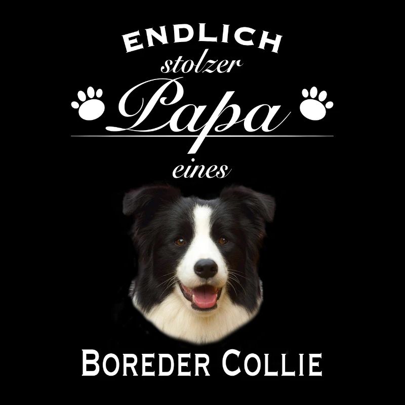Endlich stolzer Papa - Border Collie