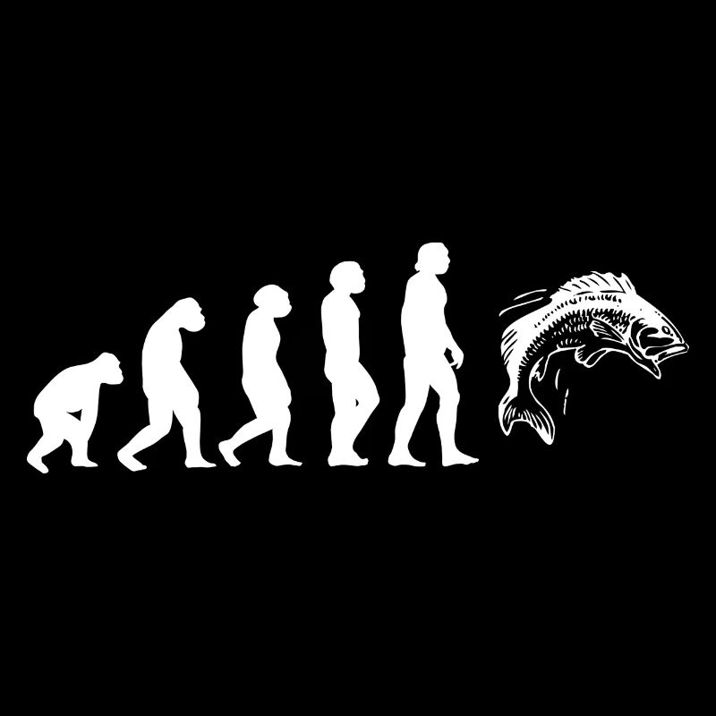 Evolution Forellen Angler