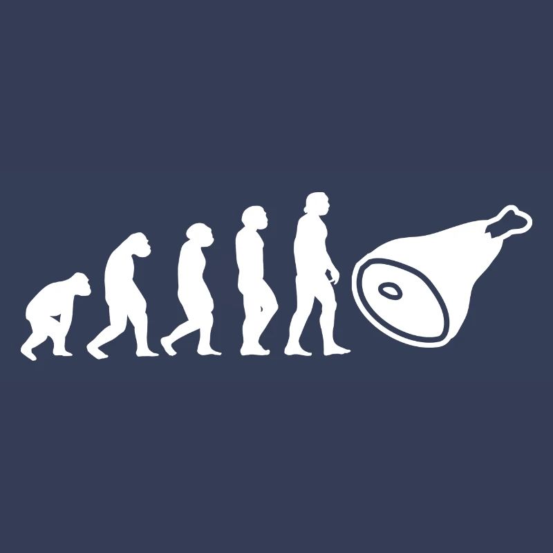 Evolution Fleischer