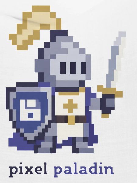 Pixel Paladin Pixelheld