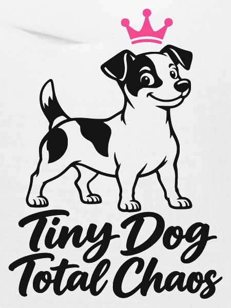 Jack Russell Tiny Dog Total Chaos