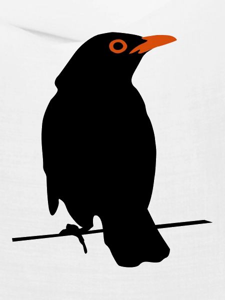 Amsel