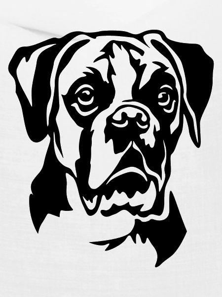 Boxer Kopf